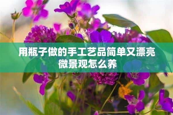 用瓶子做的手工艺品简单又漂亮 微景观怎么养