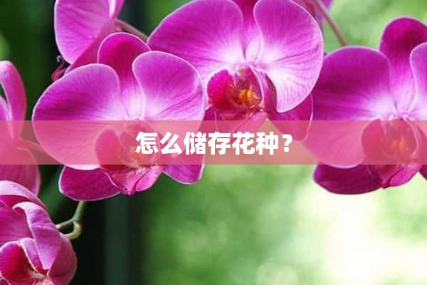 怎么储存花种？