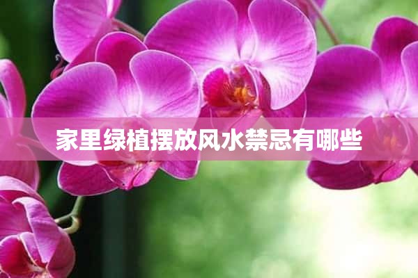 家里绿植摆放风水禁忌有哪些