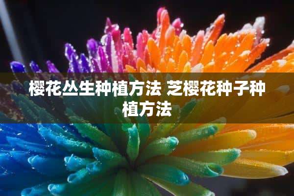 樱花丛生种植方法 芝樱花种子种植方法