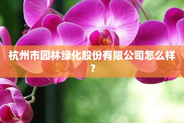 杭州市园林绿化股份有限公司怎么样？