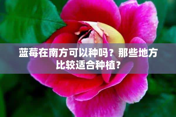 蓝莓在南方可以种吗？那些地方比较适合种植？