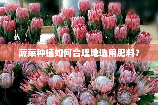 蔬菜种植如何合理地选用肥料？