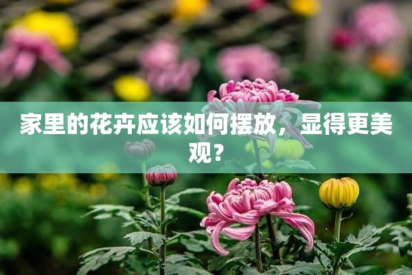 家里的花卉应该如何摆放，显得更美观？