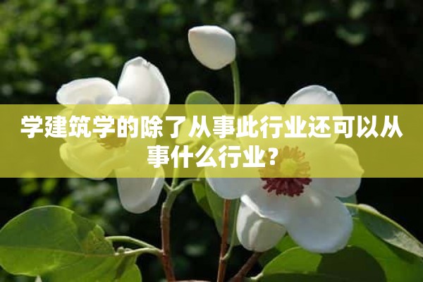 学建筑学的除了从事此行业还可以从事什么行业？