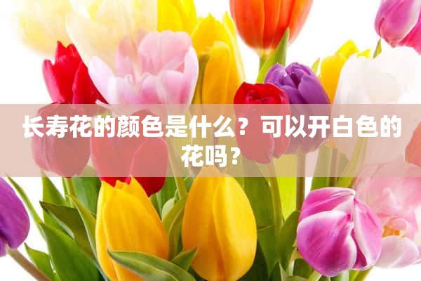 长寿花的颜色是什么？可以开白色的花吗？