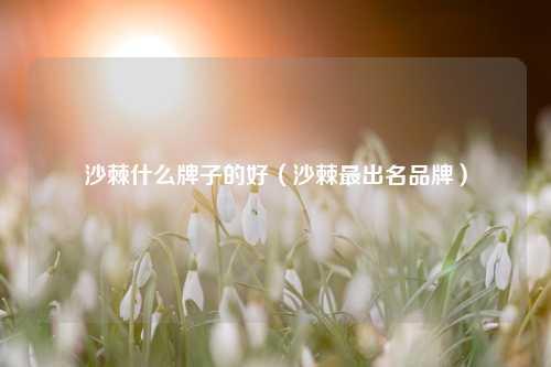 沙棘什么牌子的好（沙棘最出名品牌） 花卉