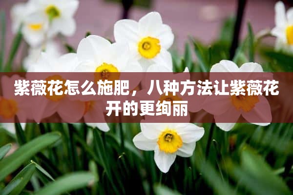 紫薇花怎么施肥，八种方法让紫薇花开的更绚丽