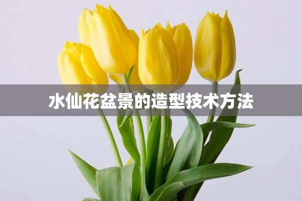 水仙花盆景的造型技术方法