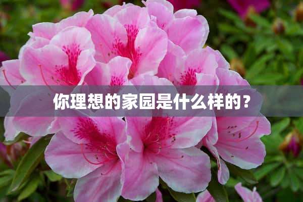 你理想的家园是什么样的？