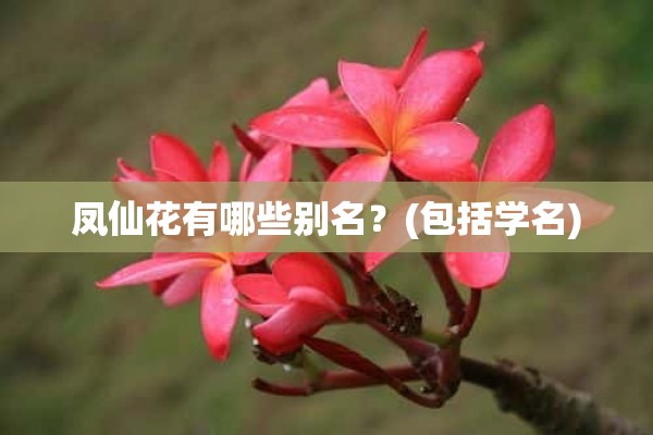 凤仙花有哪些别名？(包括学名)