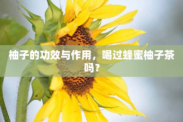 柚子的功效与作用，喝过蜂蜜柚子茶吗？