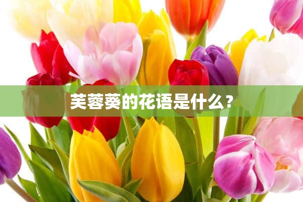 芙蓉葵的花语是什么？