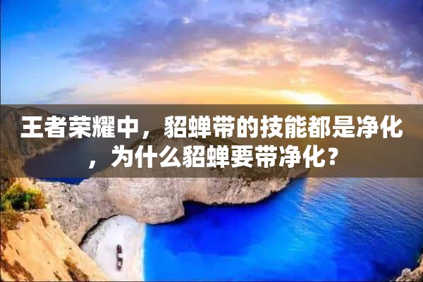 王者荣耀中，貂蝉带的技能都是净化，为什么貂蝉要带净化？