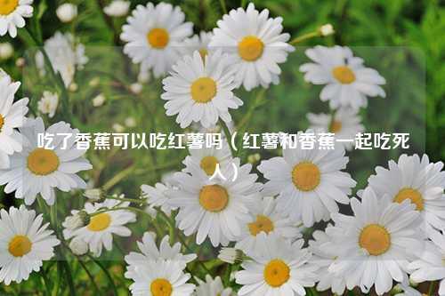 吃了香蕉可以吃红薯吗（红薯和香蕉一起吃死人） 花卉