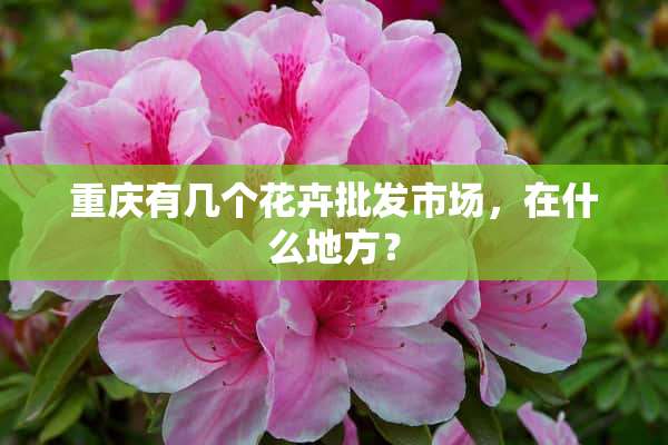 重庆有几个花卉批发市场，在什么地方？