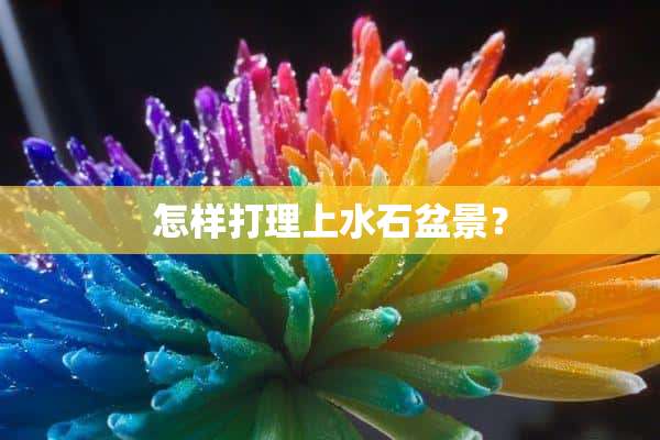 怎样打理上水石盆景？