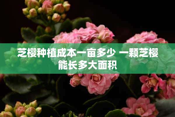 芝樱种植成本一亩多少 一颗芝樱能长多大面积