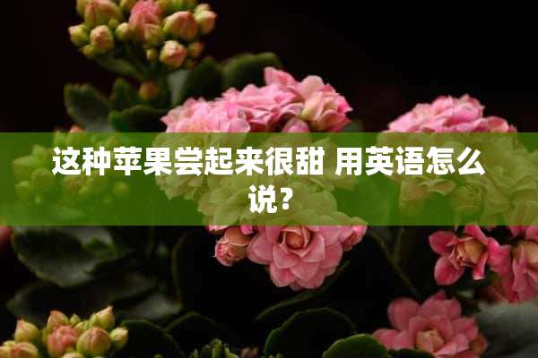 这种苹果尝起来很甜 用英语怎么说？