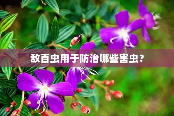 敌百虫用于防治哪些害虫？