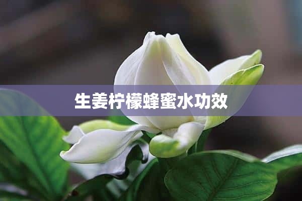 生姜柠檬蜂蜜水功效