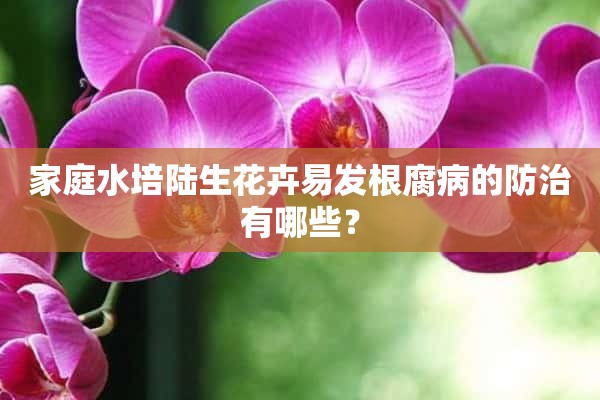 家庭水培陆生花卉易发根腐病的防治有哪些？