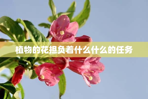 植物的花担负着什么什么的任务