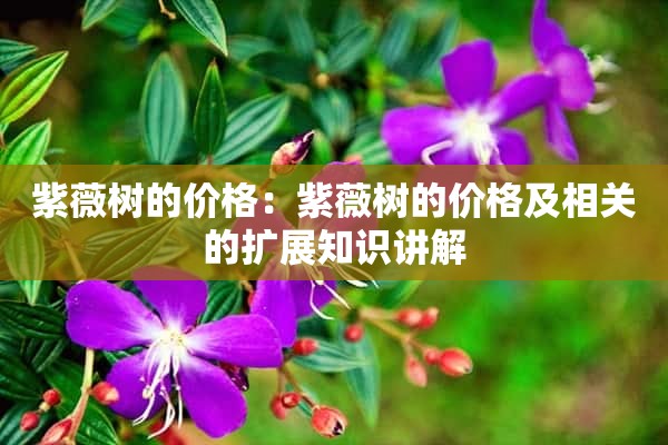 紫薇树的价格：紫薇树的价格及相关的扩展知识讲解