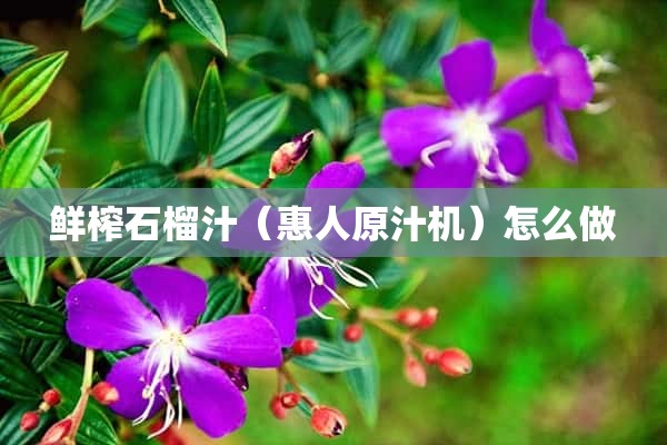 鲜榨石榴汁（惠人原汁机）怎么做