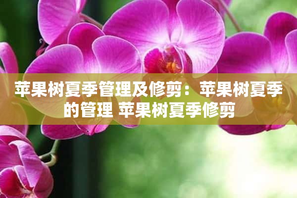 苹果树夏季管理及修剪：苹果树夏季的管理 苹果树夏季修剪