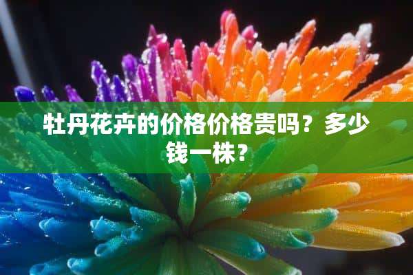 牡丹花卉的价格价格贵吗？多少钱一株？