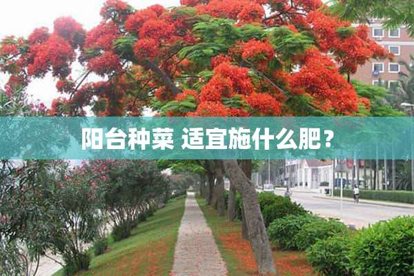 阳台种菜 适宜施什么肥？