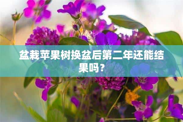 盆栽苹果树换盆后第二年还能结果吗？