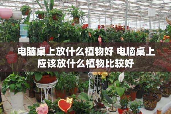 电脑桌上放什么植物好 电脑桌上应该放什么植物比较好