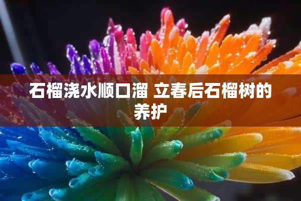 石榴浇水顺口溜 立春后石榴树的养护