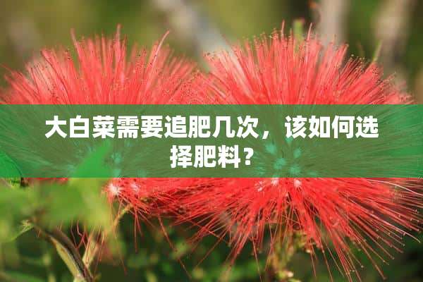 大白菜需要追肥几次，该如何选择肥料？