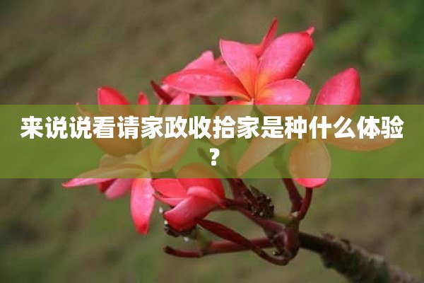 来说说看请家政收拾家是种什么体验？