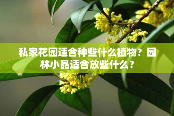 私家花园适合种些什么植物？园林小品适合放些什么？