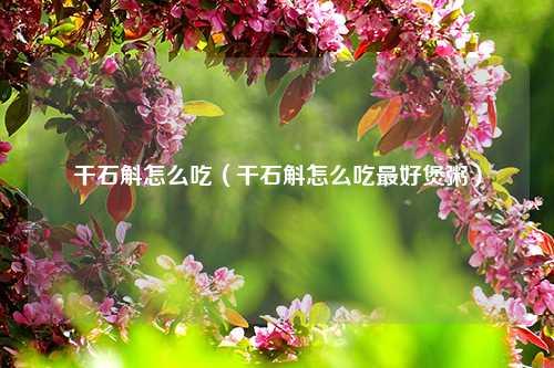 干石斛怎么吃（干石斛怎么吃最好煲粥） 花卉