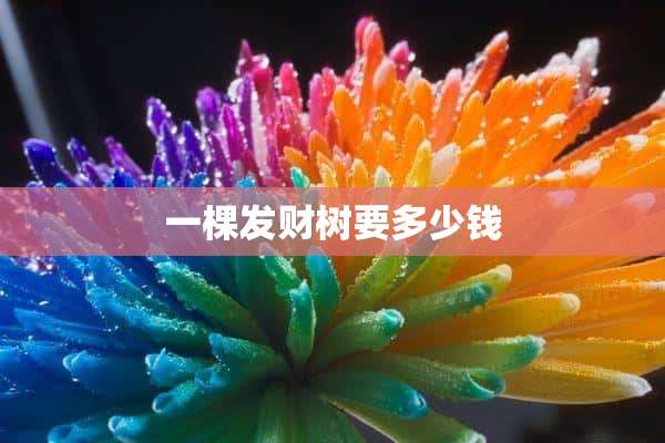 一棵发财树要多少钱