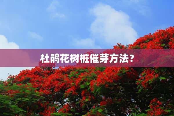 杜鹃花树桩催芽方法？