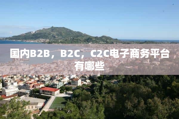 国内B2B，B2C，C2C电子商务平台有哪些