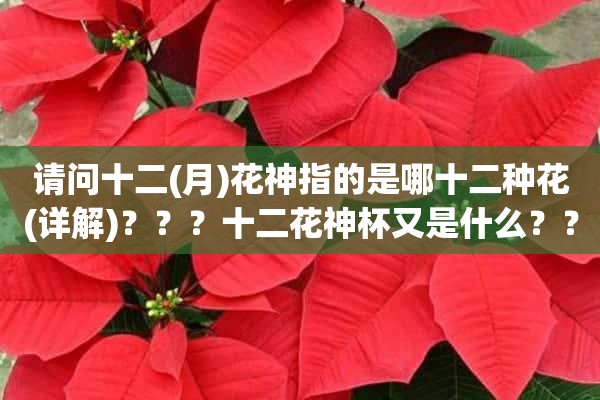 请问十二(月)花神指的是哪十二种花(详解)？？？十二花神杯又是什么？？？