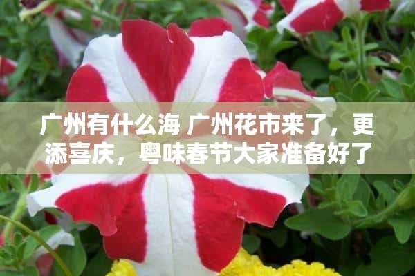 广州有什么海 广州花市来了，更添喜庆，粤味春节大家准备好了吗