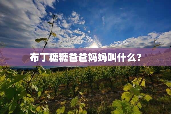 布丁糖糖爸爸妈妈叫什么？