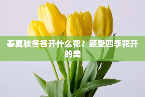 春夏秋冬各开什么花？感受四季花开的美