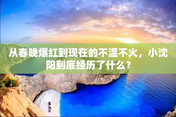 从春晚爆红到现在的不温不火，小沈阳到底经历了什么？