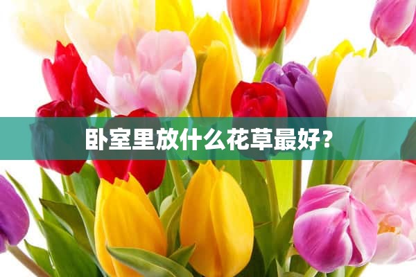 卧室里放什么花草最好？