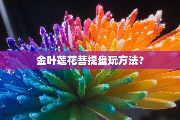 金叶莲花菩提盘玩方法？