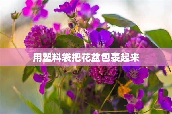 用塑料袋把花盆包裹起来